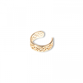 Bague d'oreille spiralée